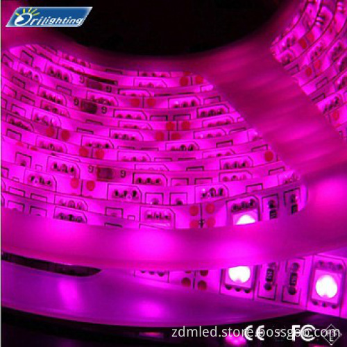 Decorative Lamp SMD5050 Led Strip Light with ROHS CE FCC PSE